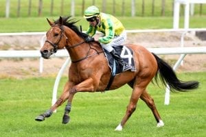 Retirement for Hale’s star