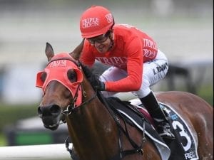 Redzel to excel on the Flemington straight