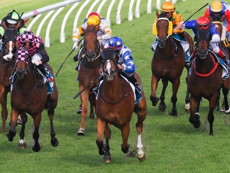 Jockey Matthew McGillivray (centre) rides Crack Me Up to win race 8.