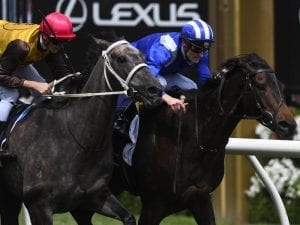 Jaameh claims G3 Queen Elizabeth Stakes