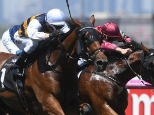 Fastnet Tempest set to remain in Australia