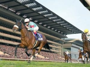 Triple-Crowned Filly Almond Eye Romps to Victory in Japan Cup