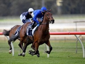 Godolphin calls time on Qewy's career