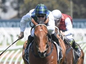 Benchmark 3YO race deleted from Rosehill