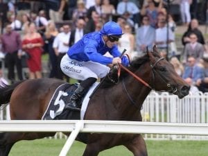 Tassort firms again for Golden Slipper