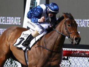 Cranbourne trial for Viddora before Perth