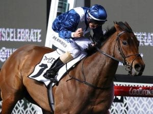 Viddora shines in Cranbourne trial victory