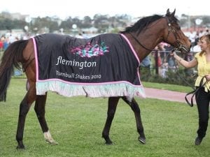 Sandown staying numbers in short supply