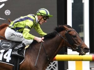 Cup runners to back up in Zipping Classic