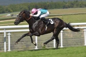 Mirage Dancer seeks more Juddmonte glory in Hong Kong Vase