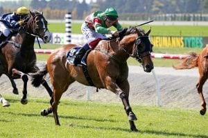 Picket fence form on the line at Riccarton