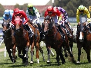 Blake Shinn in stewards' inquiry