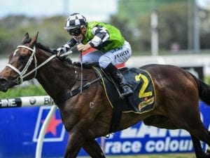 Unforgotten ends spring on winning note