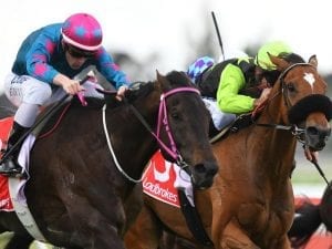 For Pete's Sake lands the prize at Sandown