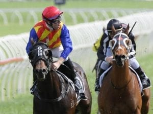 Pierata and Redzel to do battle in Sprint