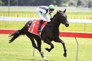 Eye-catching winner Karaka Million bound