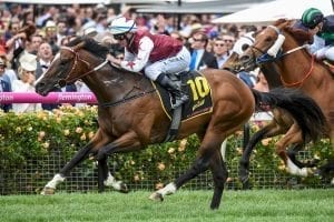 Speedeor set for the Magic Millions after brilliant Ballarat win