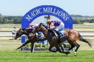 Magic Millions