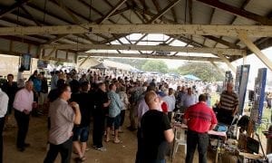 Traditional bookmaker betting ring