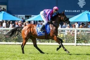 Pilote D’Essai wins Ballarat Cup