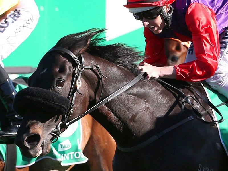 Dibayani chasing big Randwick mile success