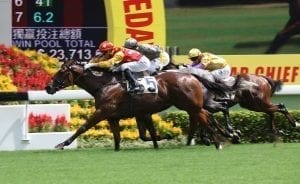 Golden Harvest is one of Derek Leung's best at Happy Valley