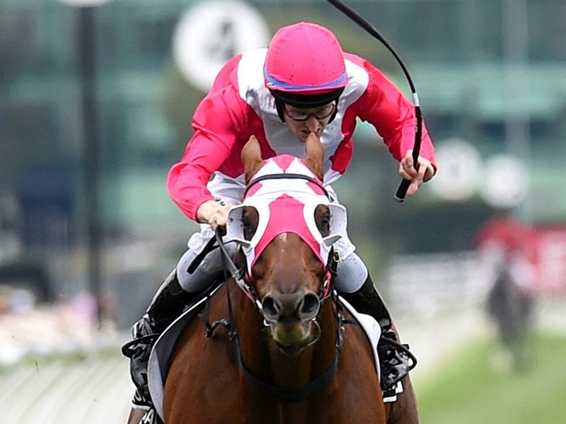 The Quarterback ridden by Craig Newitt