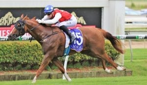 Jamie Kah & Stonecast winning at Doomben