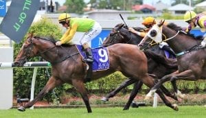 Just Orm winning the opener at Doomben