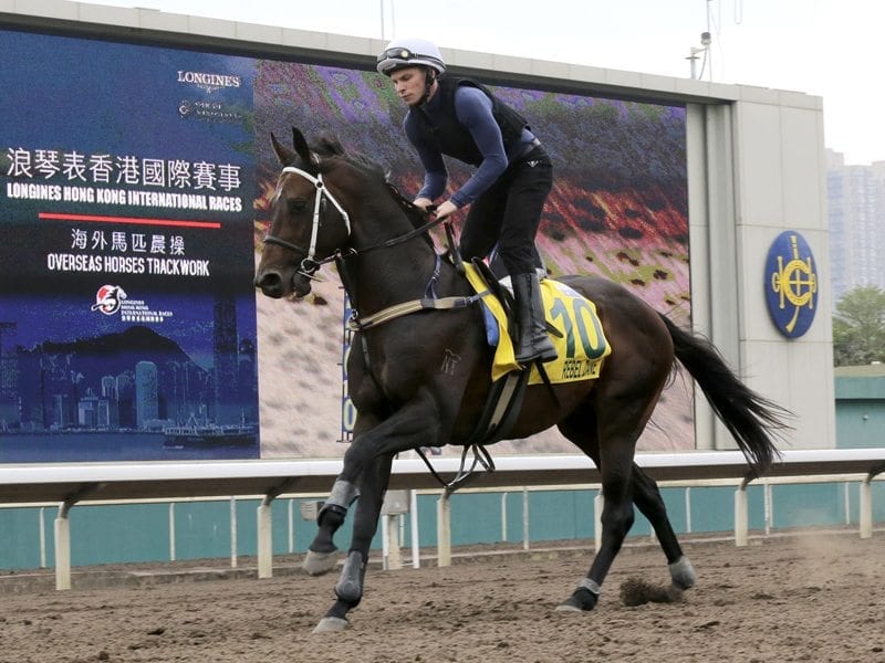 Sebring Express heading for Inglis Classic