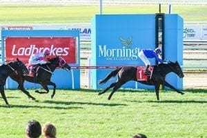 Mornington Racing Tips & Best Bets - Sunday December 27 2020