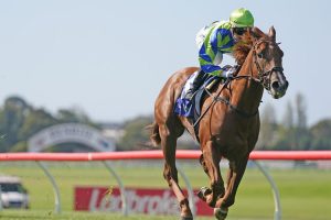 Beau Rossa on track for Ascot's Gold Rush despite Winterbottom failure