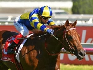 Native Soldier sizzles in Caulfield win