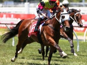 Jake Noonan's mature ride gets Netherfield home for Mick Price