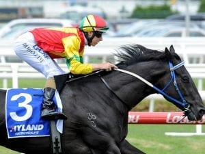 Robert Smerdon hopes blinkers will spark Oak Door at Caulfield