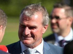 Weir trio take aim at Christmas Stakes