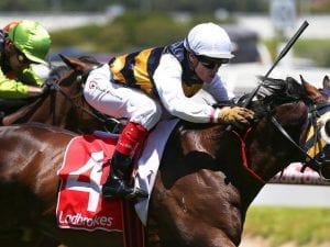 Tongue tie helps Serenade win at Caulfield