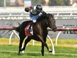 So Si Bon finally lands second career win