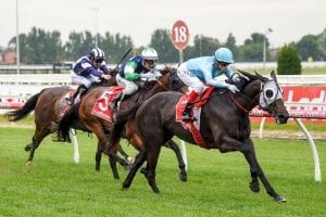 Boxing Day 2018: Best bets for December 26 at Caulfield & Randwick