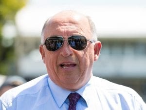 Doomben barriers a problem for Heathcote