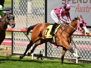 Tougher Flemington task for Fill The Flute