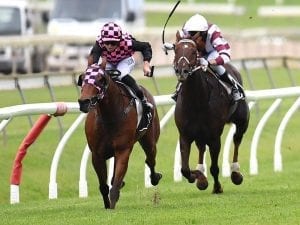 Rob Heathcote sweats on inside Villiers gate for Hopfgarten