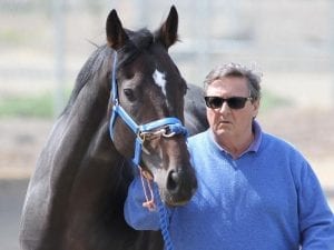 Freedman lands Singapore trainers' title