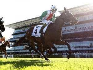 Australian Derby winner Jon Snow retired