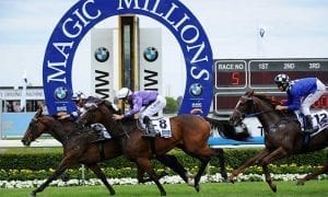 Magic Millions