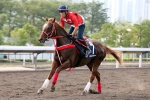 Japanese raiders perform admirably at Hong Kong International Races