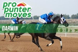 Darwin market movers, Saturday, December 30