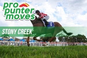 Racing firmers & drifters for Stony Creek, Saturday December 30