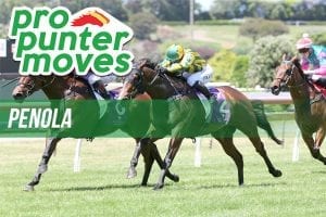 Penola market movers, Wednesday, December 27