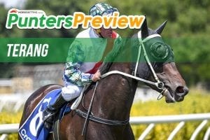 Terang betting tips and form, Monday January 1